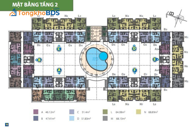 tang_2.jpg