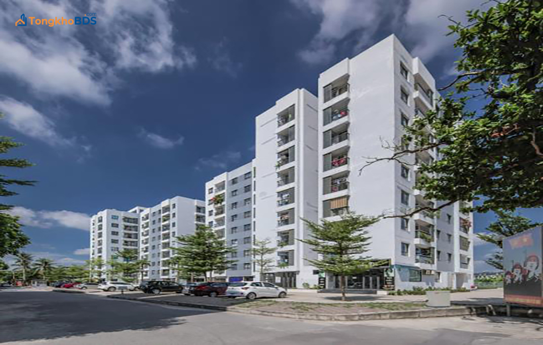 9fbcb599-nha-o-xa-hoi-newtatco-lai-xa-1.jpg